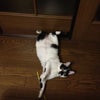 びっくり！！の画像