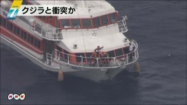 またまた屋久島で高速船トッピー事故 世界自然遺産 屋久島 ライフ