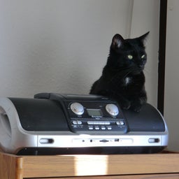 音楽と共に