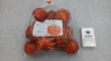 $日本縦断・はちゃめちゃ移住記-トマト１kg