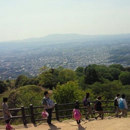 まんまさんのお気楽ﾌﾞﾛｸﾞ-2012050514280000.jpg