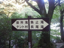 $ここのたこ パート３　　SUKIYAKISAKURA　　　　Iｓigure Japan-１標識