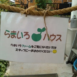 箱入り娘の生活inセブ島