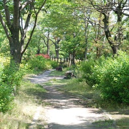 ☆o○*サ～ラ*o○☆ﾟの写真日記-51