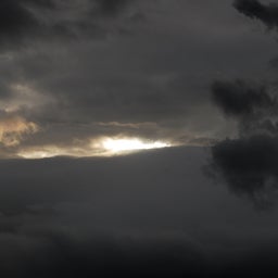 ☆o○*サ～ラ*o○☆ﾟの写真日記-10