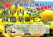 夢とありがとうブログ-減農薬レモンサワーのコピー.jpg