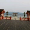 厳島神社の大鳥居は工事中の画像