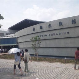 画像 京都水族館(*≧∀≦*) TT の記事より 1つ目