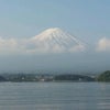 今日の釣果の画像