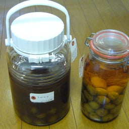 tocotocoブログ