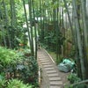 オークラ東京の竹林の画像