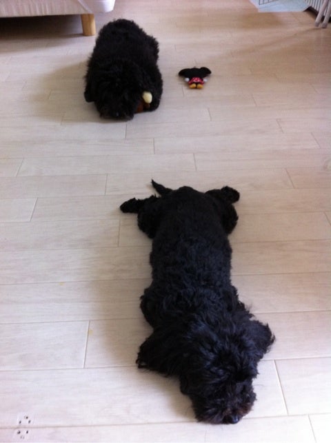 photo:01