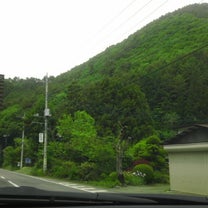 ブログ投稿画像