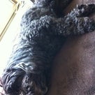 マッタリ〜の記事より