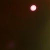 この中に金星がの画像