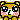 ☆猫さんが退院☆の記事画像