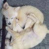 疲れたよねの画像
