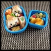 お弁当♡おにぎり君の画像