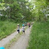 千曲川への散歩の画像