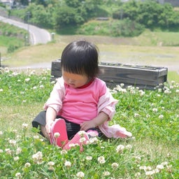 画像 ラベンダー畑へ の記事より 8つ目