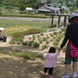 画像 ラベンダー畑へ の記事より 9つ目