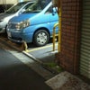 本日(6/7)の野良猫　不思議な二人の画像