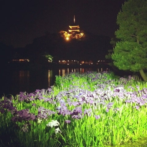 photo:05