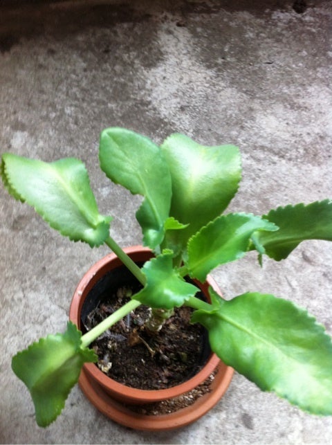 photo:03