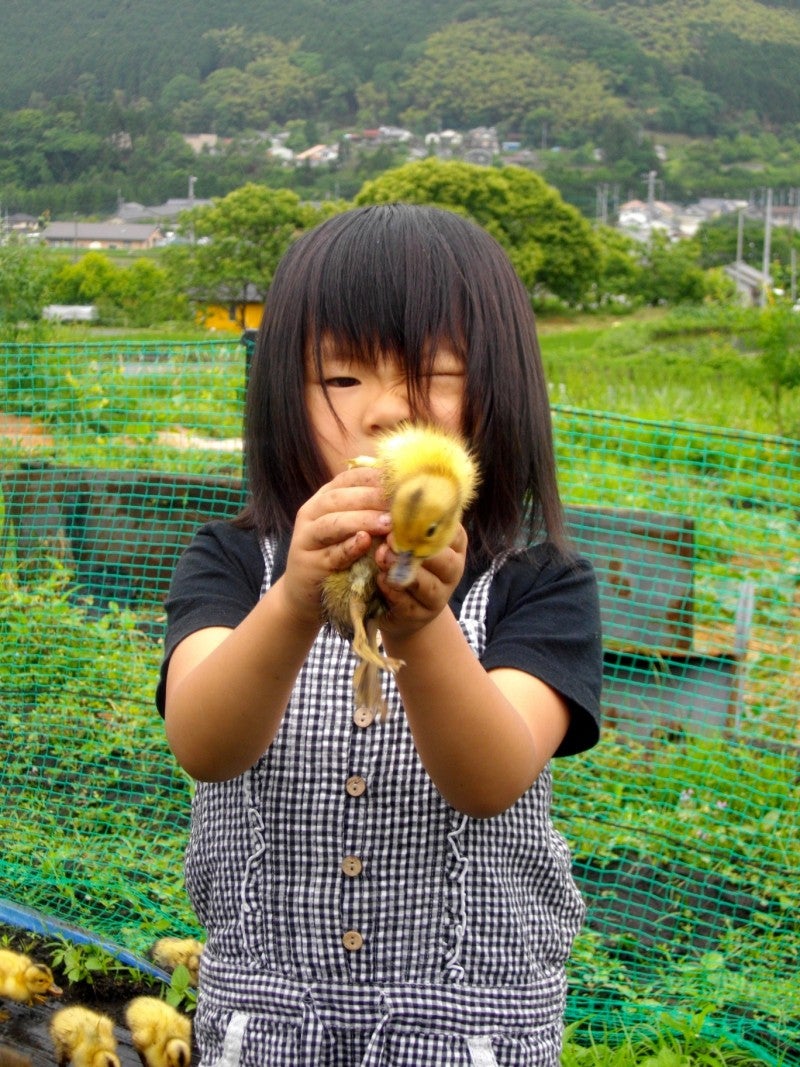 中新ロマンス食堂のブログ-kamo