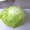 レタスの画像