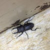 会社の訪問者の画像