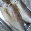天然鮮魚    イタリアンディナー    ワイナ    名古屋市    名東区    高針の画像