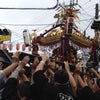 浦安三社祭！の画像