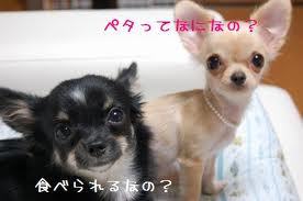 くれくれ詐欺の記事画像