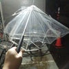 ライブの画像
