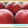 桃　初収穫の画像