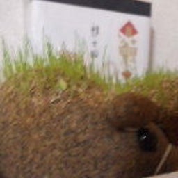 ぶんたった～