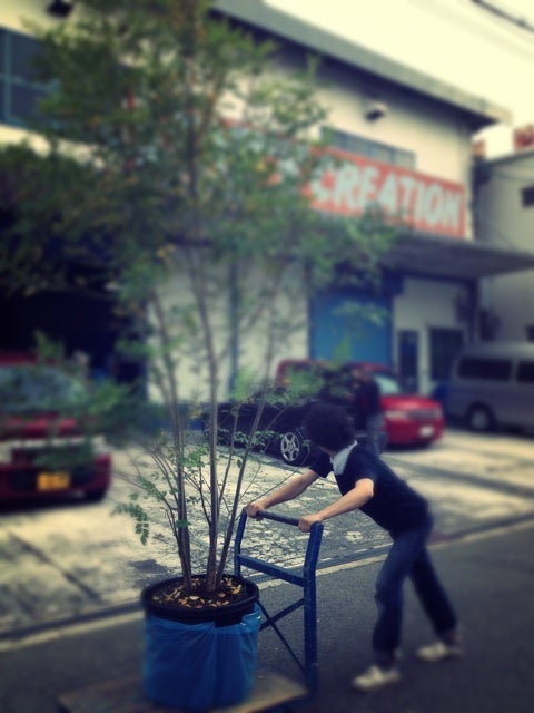 photo:01