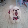 お盆休みのお知らせ♪の画像