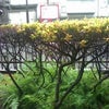 ヾ(￣^￣)「お疲れ様」の画像