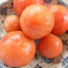 今日の一品　トマトマリネの画像