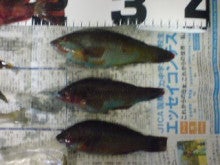 こんな不味い魚初めてや けど１ポイントゲット 笑 Kouichi Ogawaオフィシャルブログ