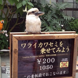 $pakoのブログ