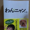 面白いっ！の画像