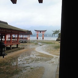 家庭教師のえーるのブログ-2012年宮島3