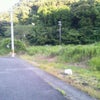 見守ってみる・・・。の画像