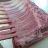ラムだっちゃ♪の画像