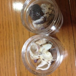 photo:03