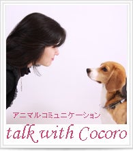 アニマルコミュニケーション talk with Cocoro
