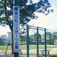 芝よっしの,西洋芝,育成ブログ-東小松川スポーツ公園